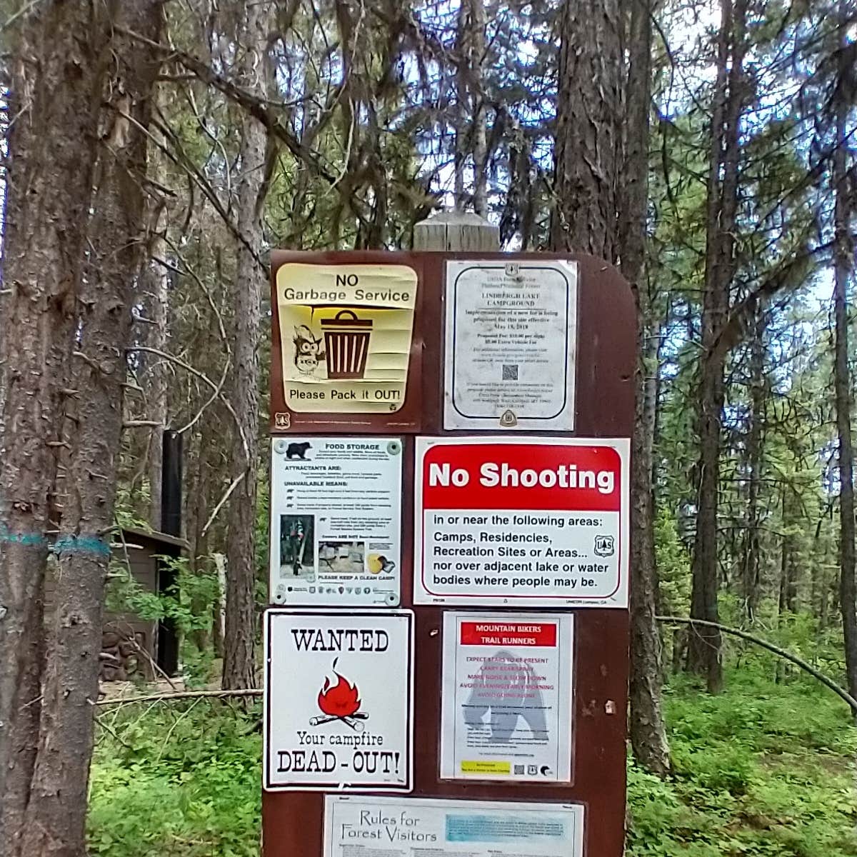 Lindbergh Lake Campground Camping The Dyrt