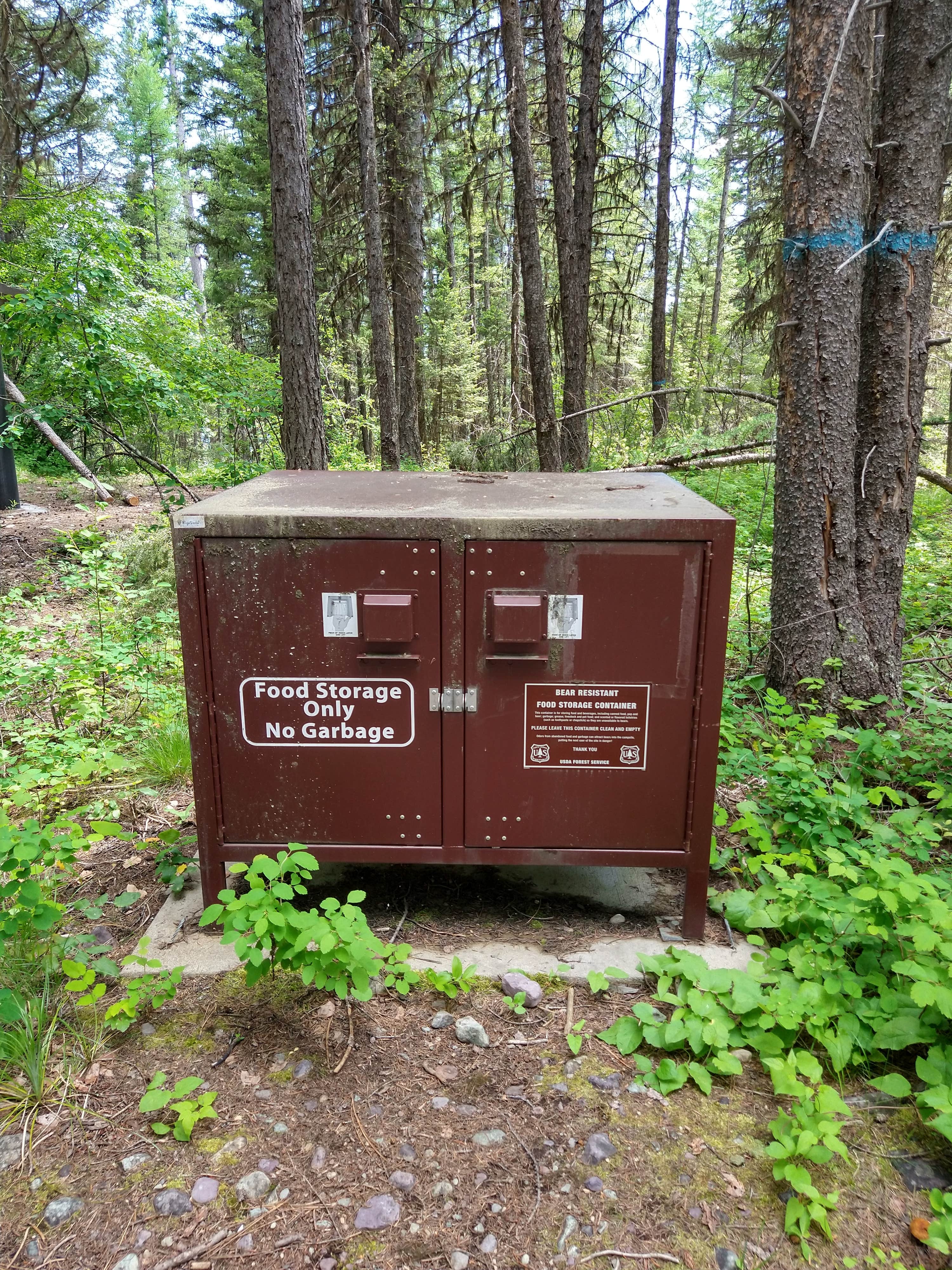 Camper-submitted photo at Lindbergh Lake Campground near Condon, MT