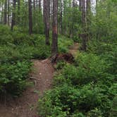 Review photo of Lid Creek Campground by Bjorn S., July 1, 2020