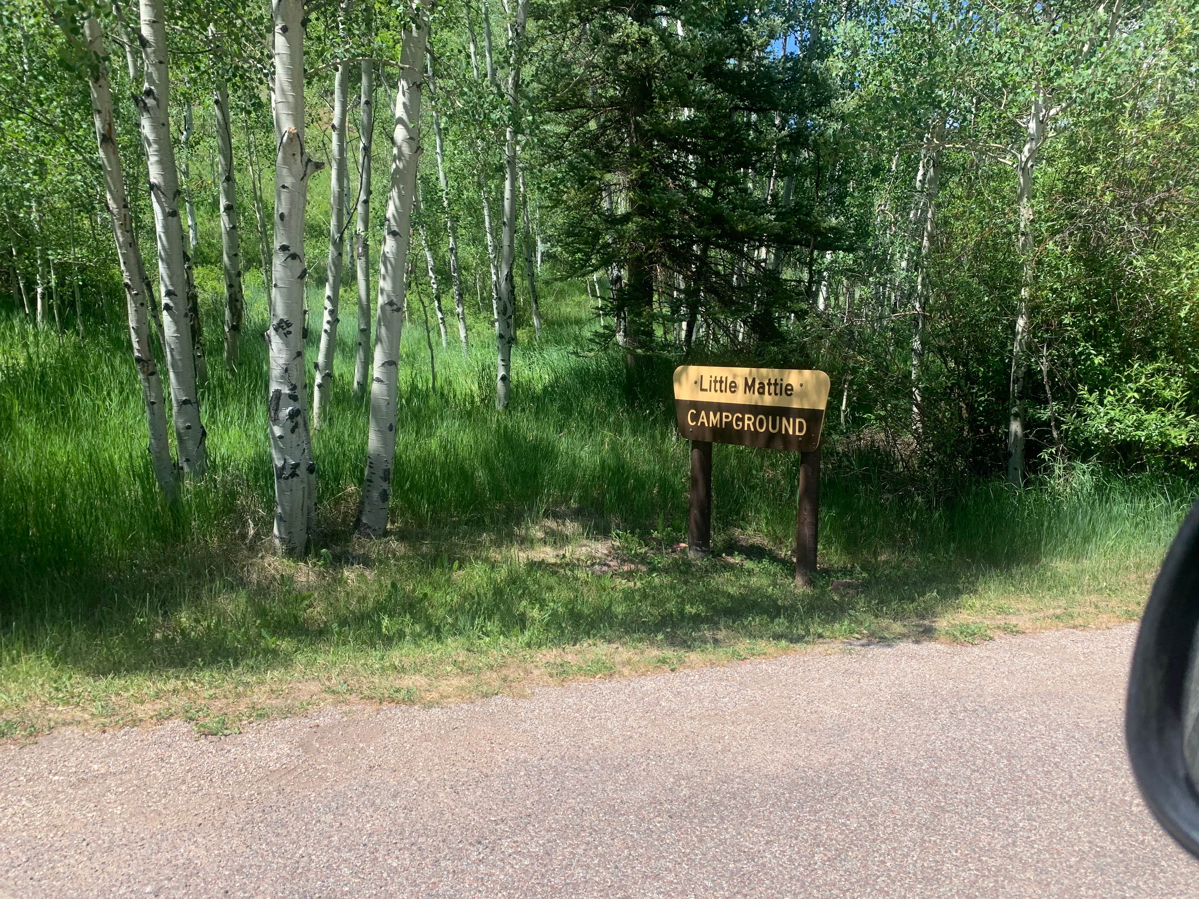 Camper submitted image from Little Mattie Campground — White River National Forest - 2