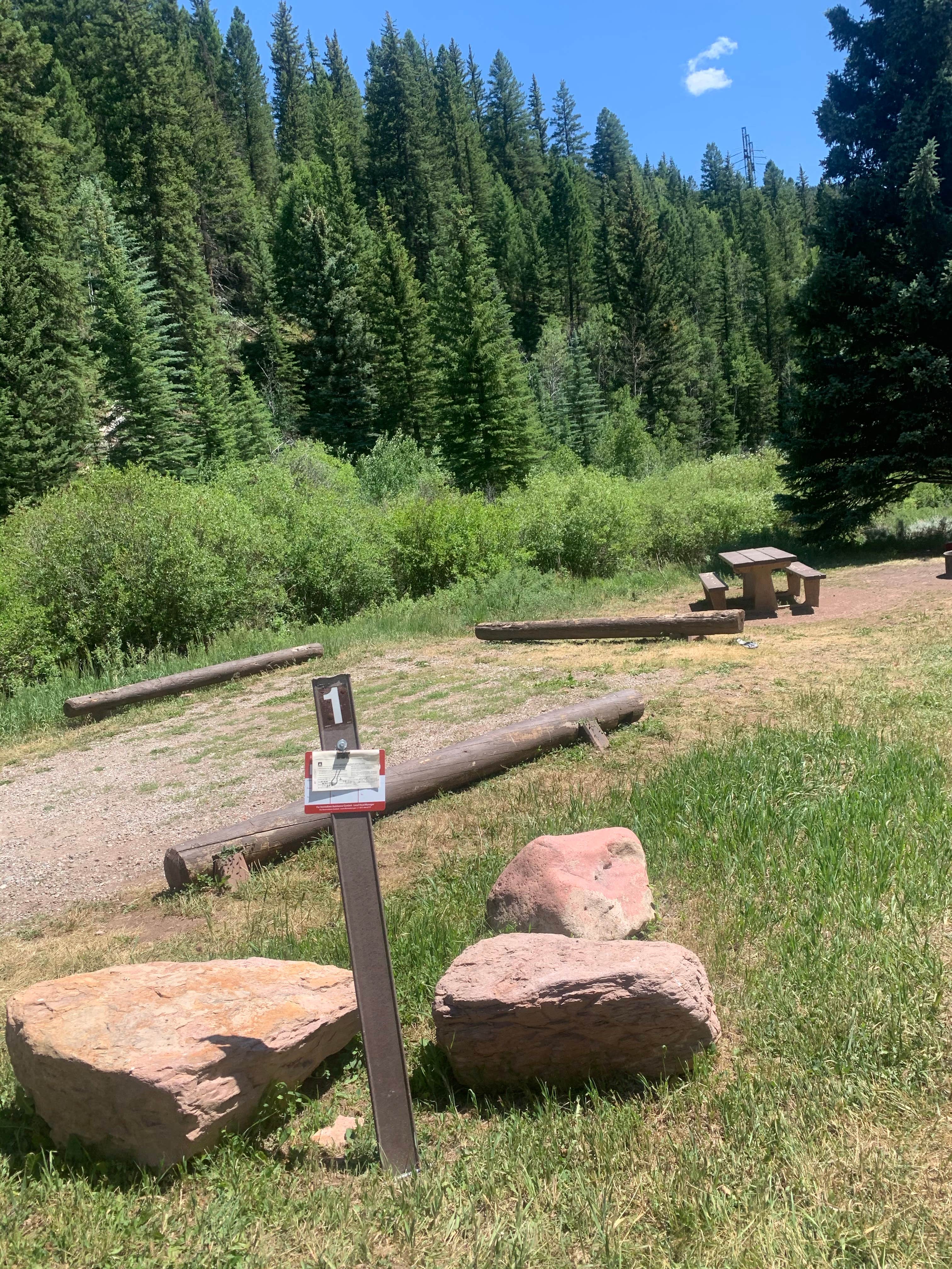 Camper submitted image from Little Mattie Campground — White River National Forest - 1