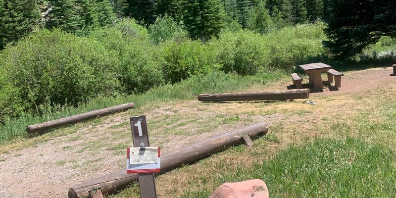 Camper submitted image from Little Mattie Campground — White River National Forest