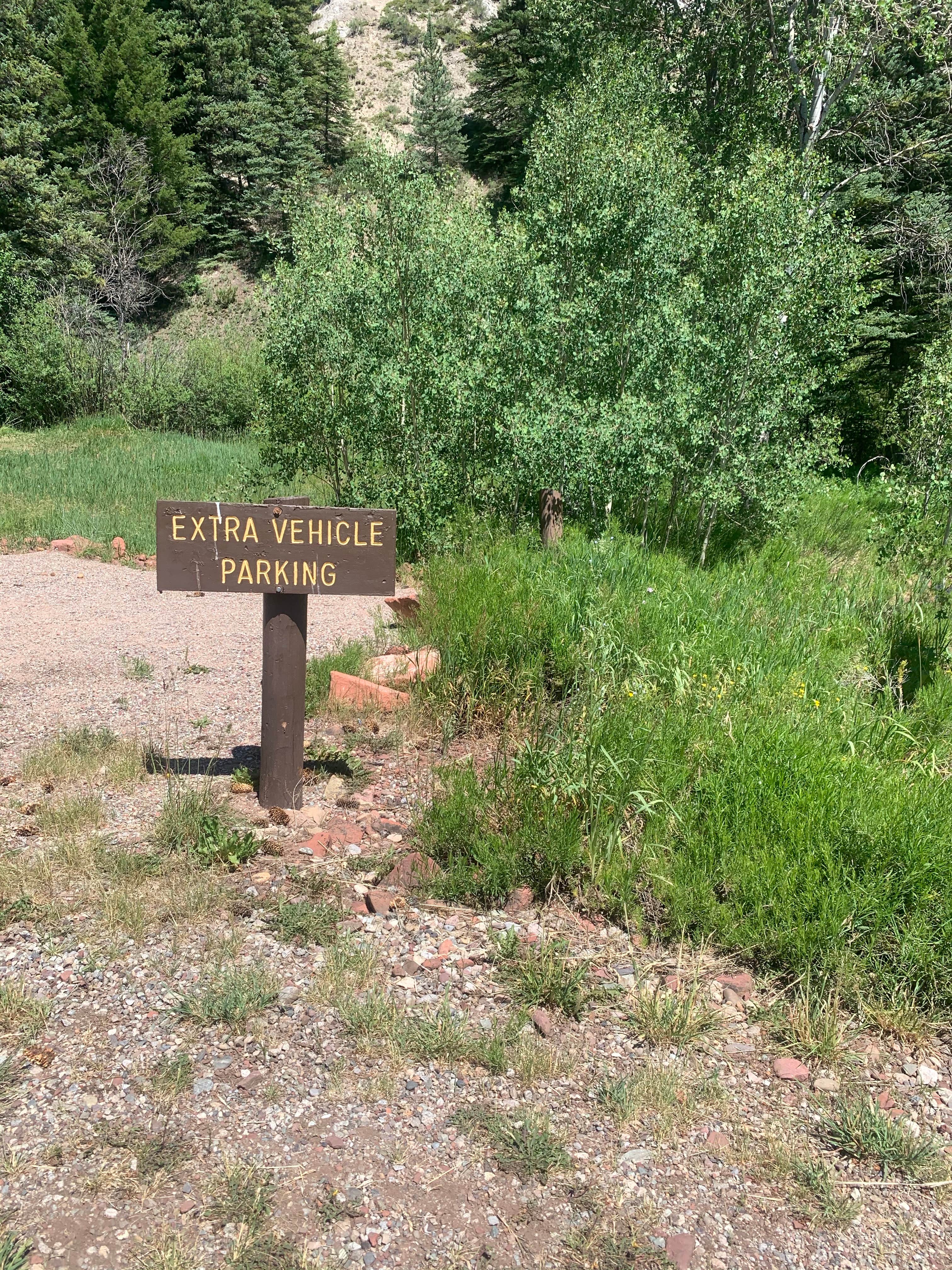 Camper submitted image from Little Mattie Campground — White River National Forest - 3