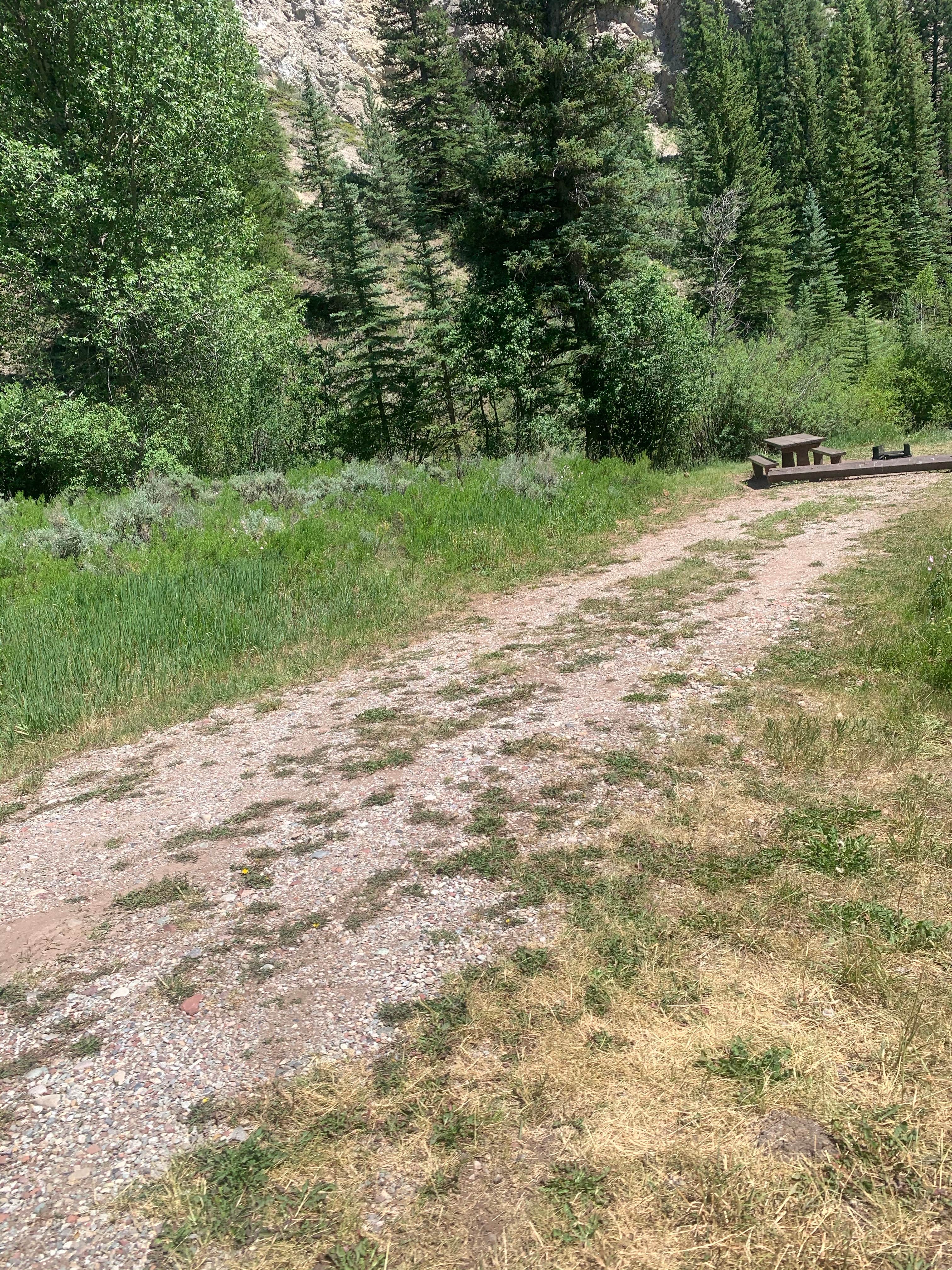 Camper-submitted photo at Little Mattie Campground — White River National Forest near White River National Forest