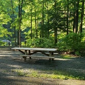 Review photo of Audra State Park Campground by Larry M., July 1, 2020