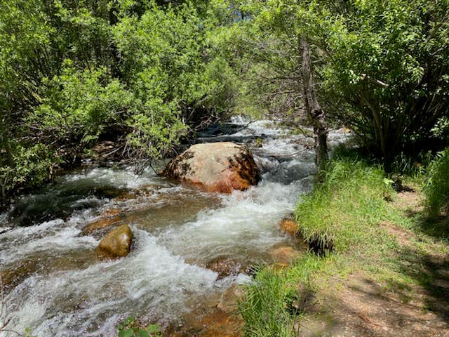 Camper submitted image from Fall River Campground - 4