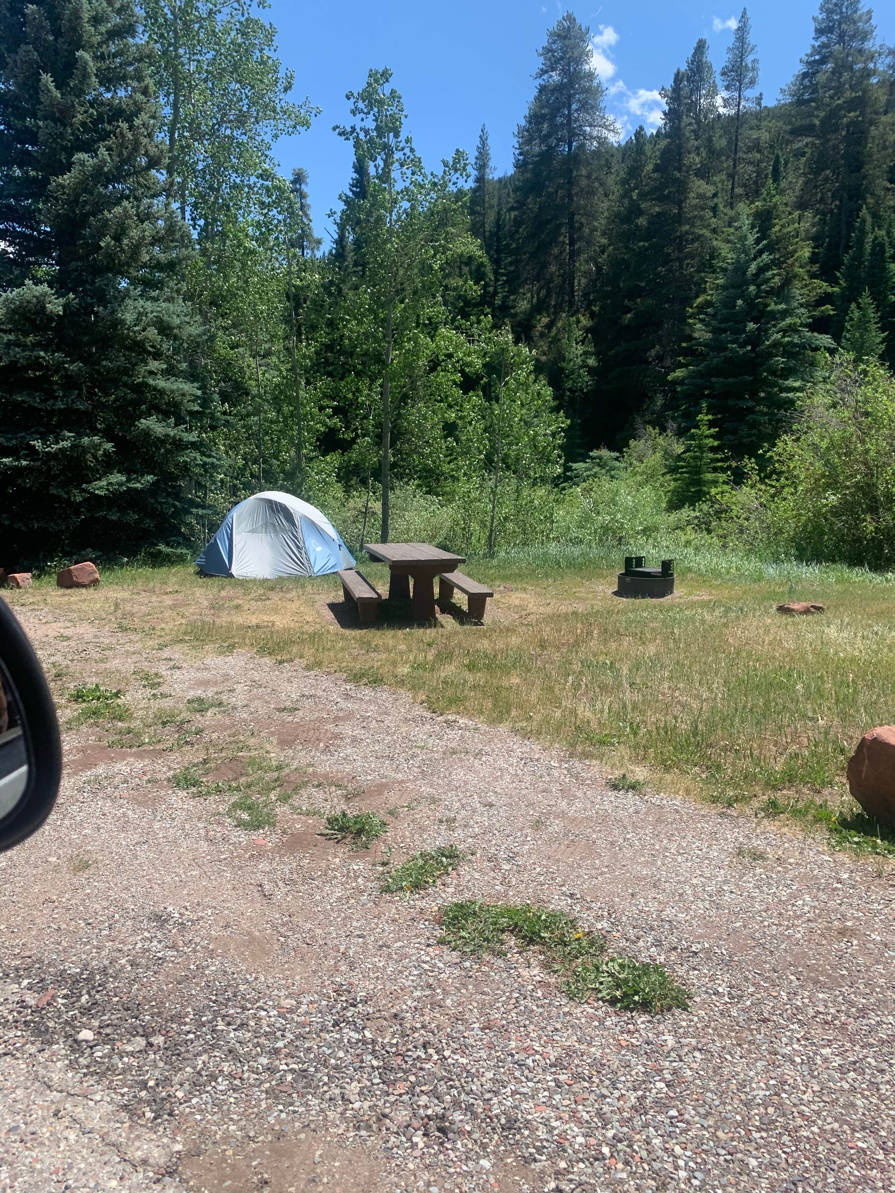 Zahru A.'s photo at Little Maud Campground near White River National Forest