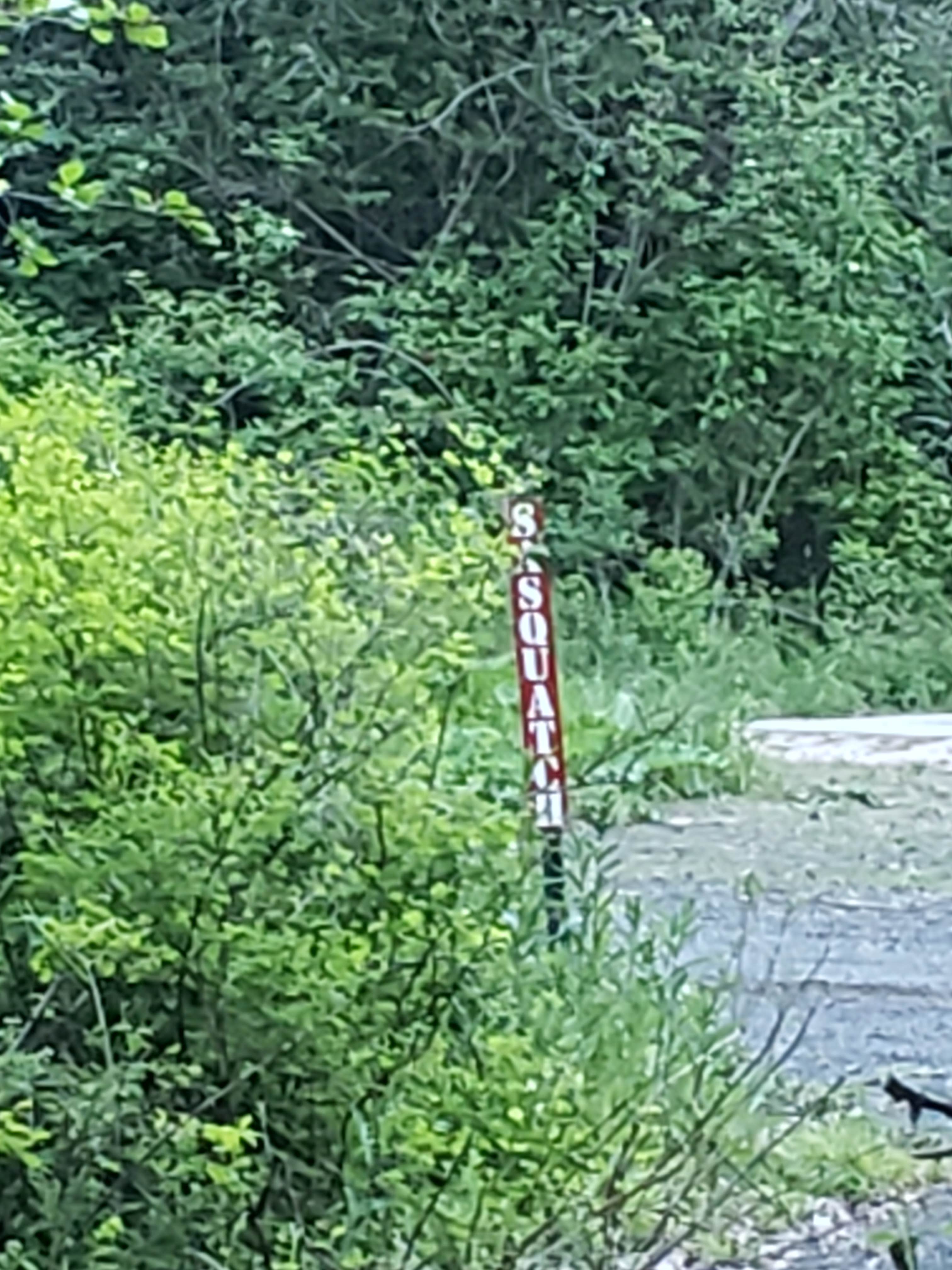 Camper submitted image from Spring Valley Reservoir - 3