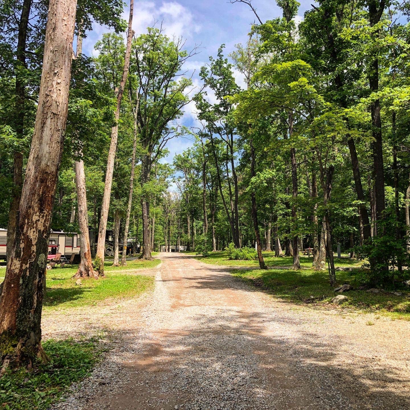 Camper submitted image from Sand Springs Campground - 3