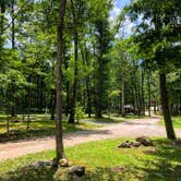 Review photo of Sand Springs Campground by Laura H., July 1, 2020