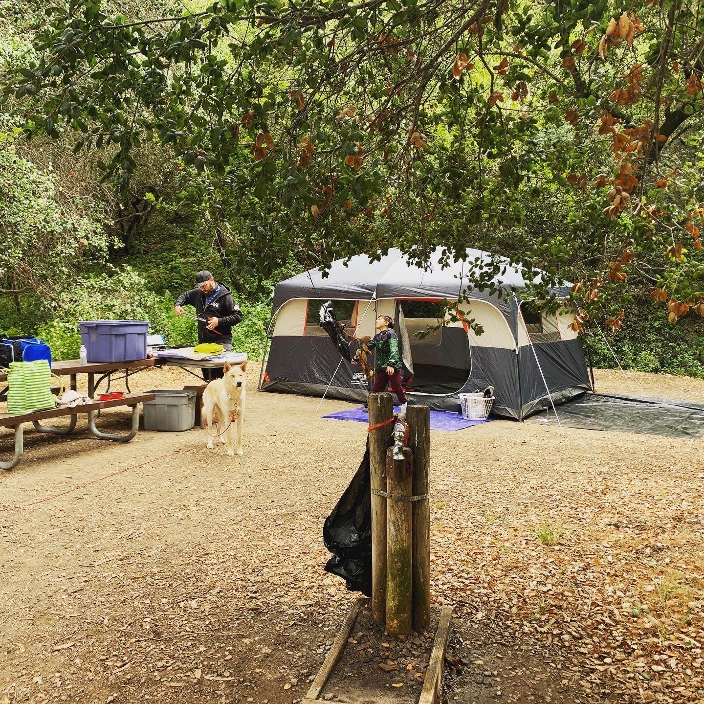 Christine O.'s photo at Cerro Alto Campground near Atascadero, CA