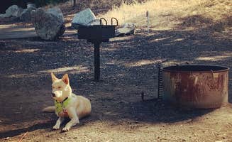 Christine O.'s photo of camping with pets at Cerro Alto Campground near San Luis Obispo, CA