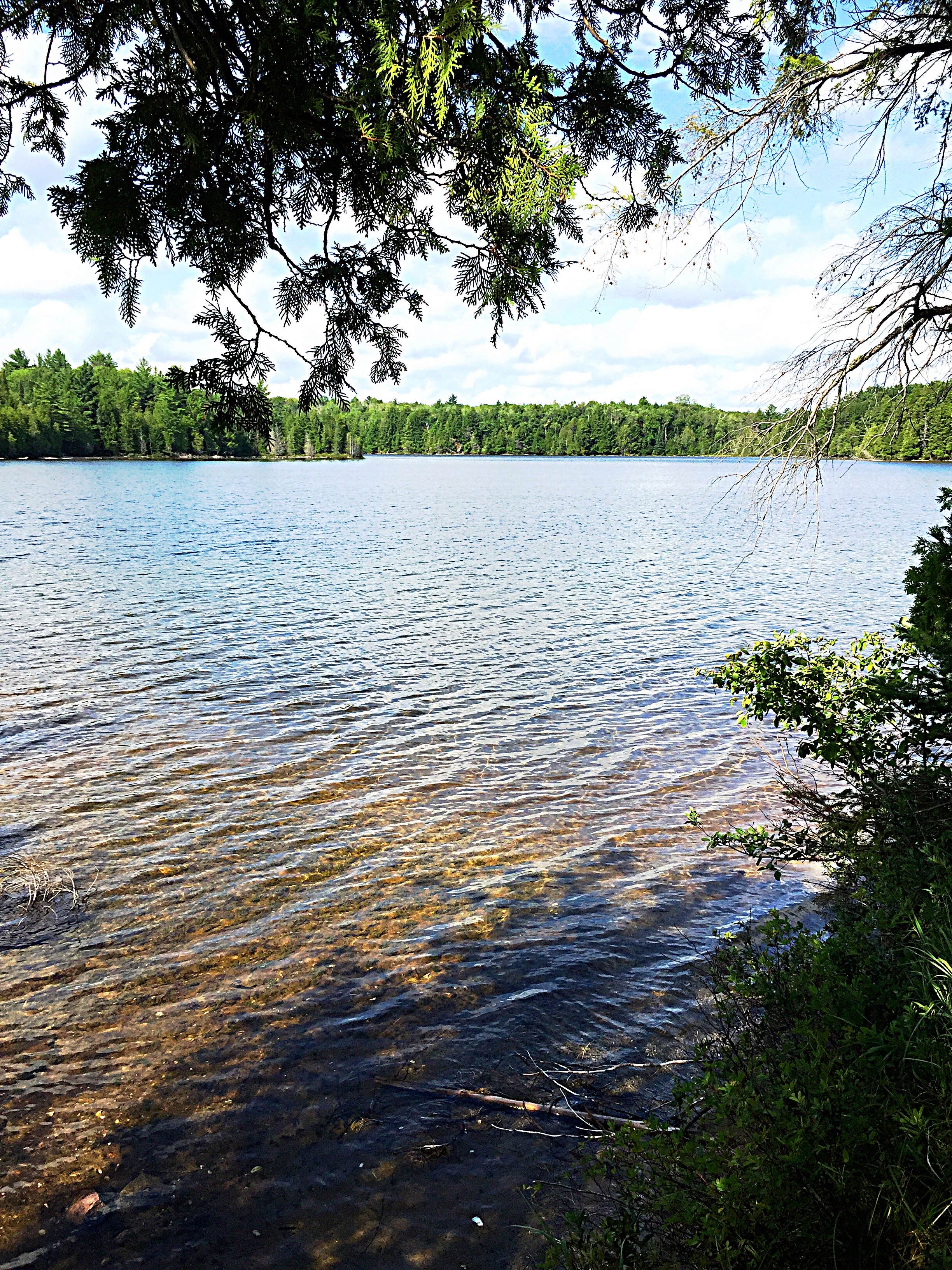 Camper submitted image from Ewing Point Rustic Campsite - 2