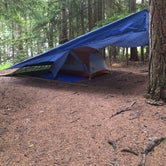 Review photo of Fish Creek Campground — Glacier National Park by Morgan M., July 1, 2020
