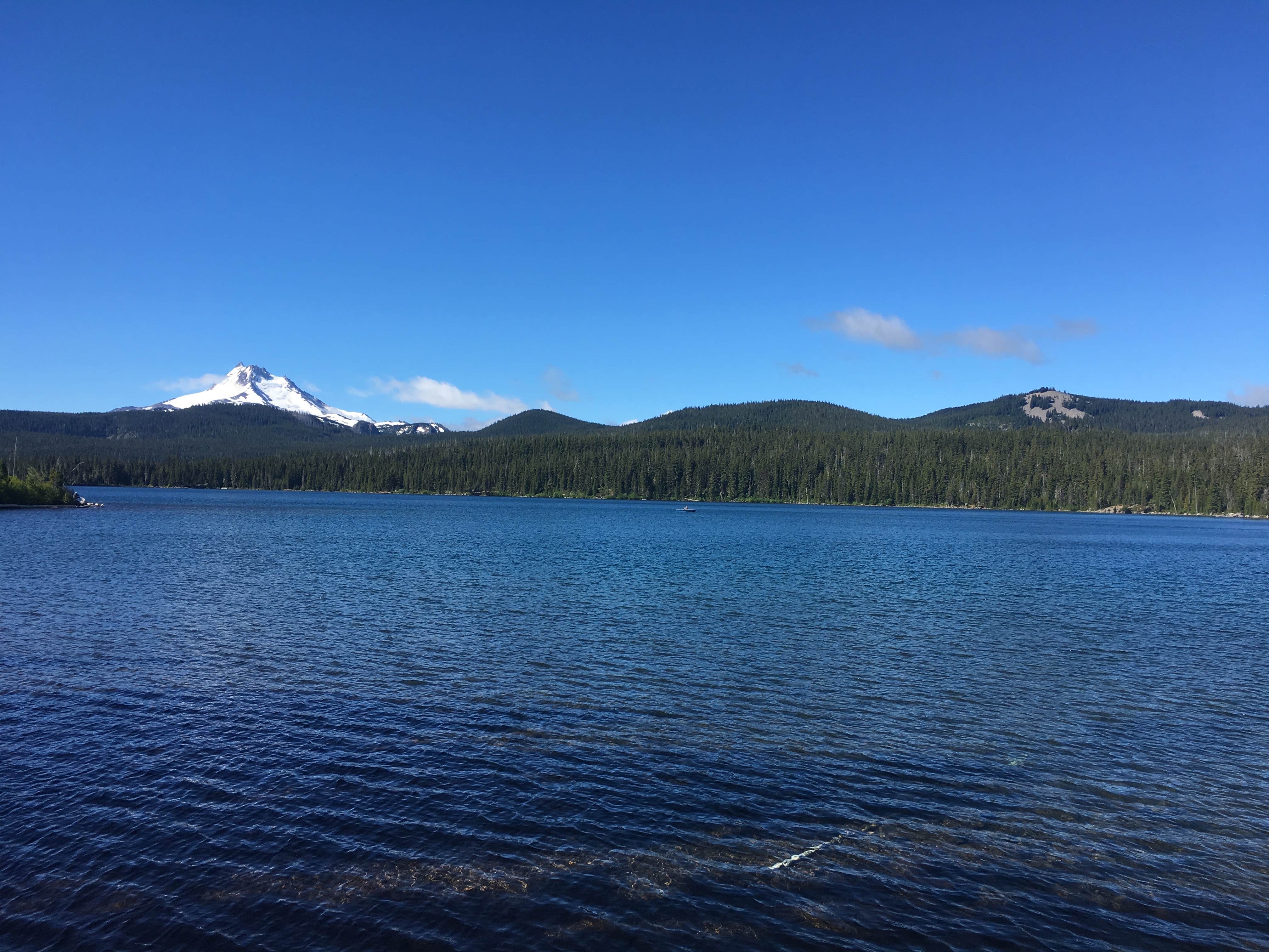 View All
