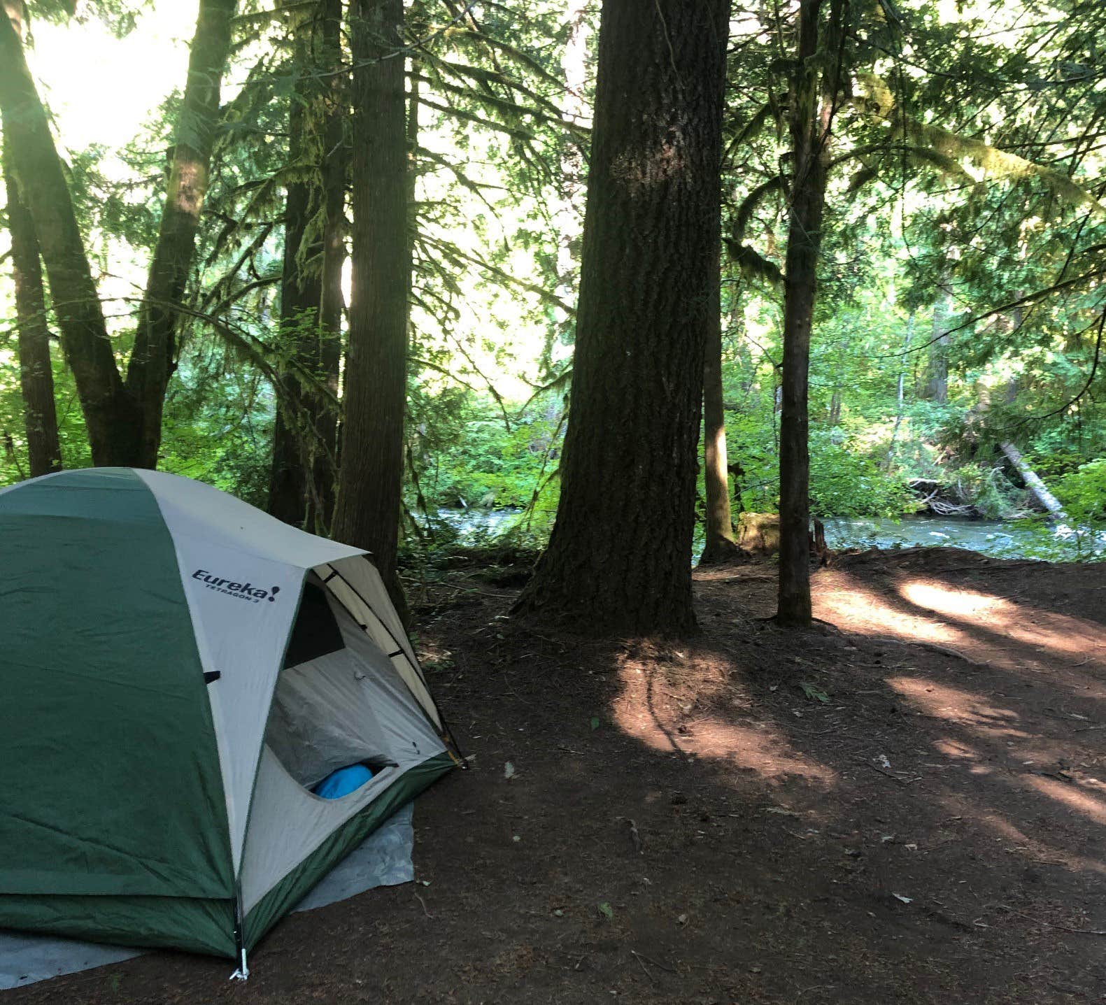 Patricia F.'s photo at Belknap Hot Springs Lodge and Gardens in Oregon
