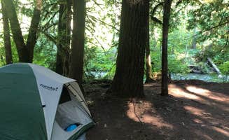 Patricia F.'s photo at Belknap Hot Springs Lodge and Gardens in Oregon