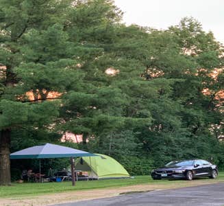 Camper-submitted photo from Hickory Hills Campground
