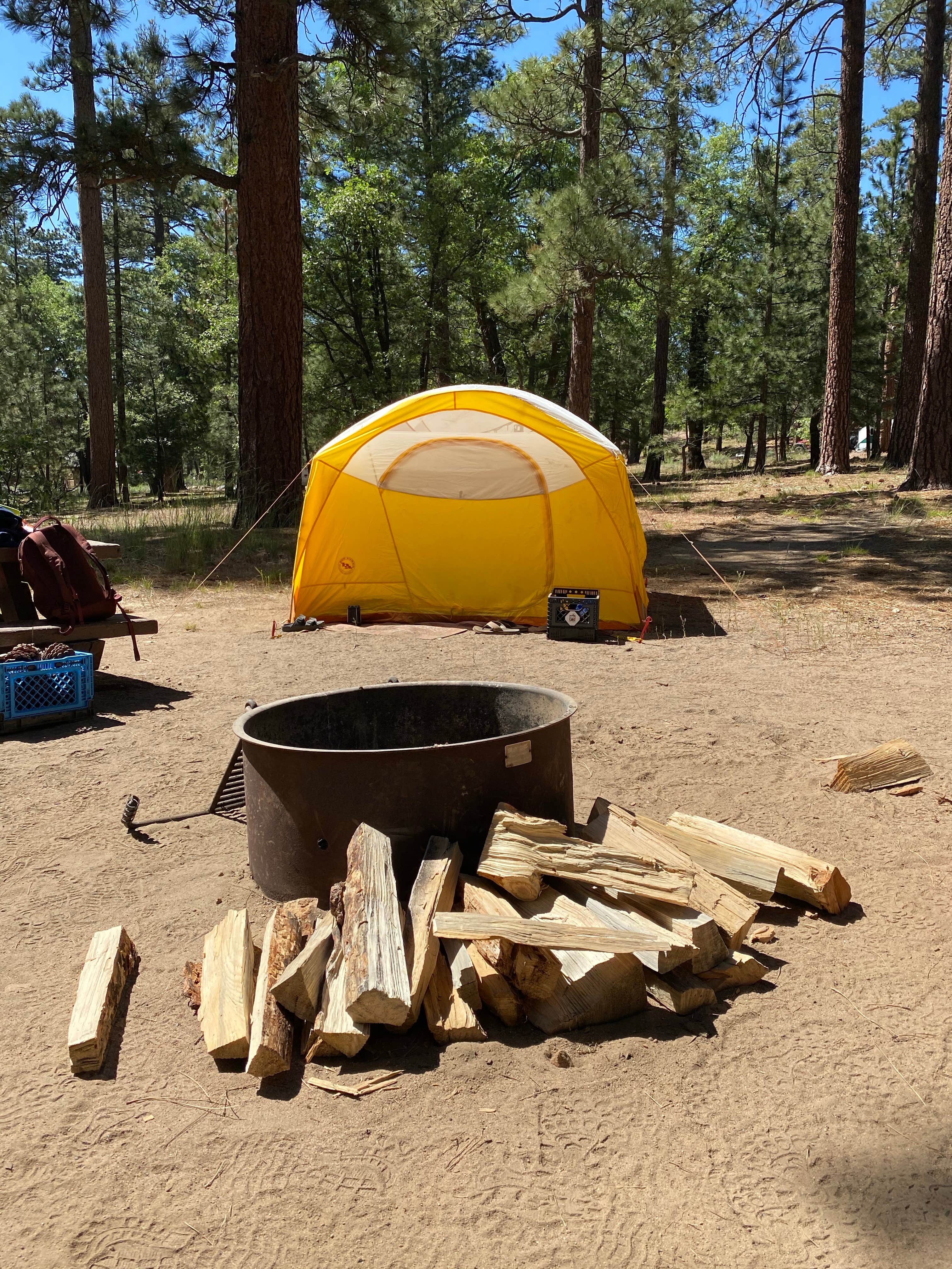 Julien E.'s photo at San Gorgonio Campground near Forest Falls, CA
