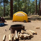 Review photo of San Gorgonio Campground by Julien E., July 2, 2020