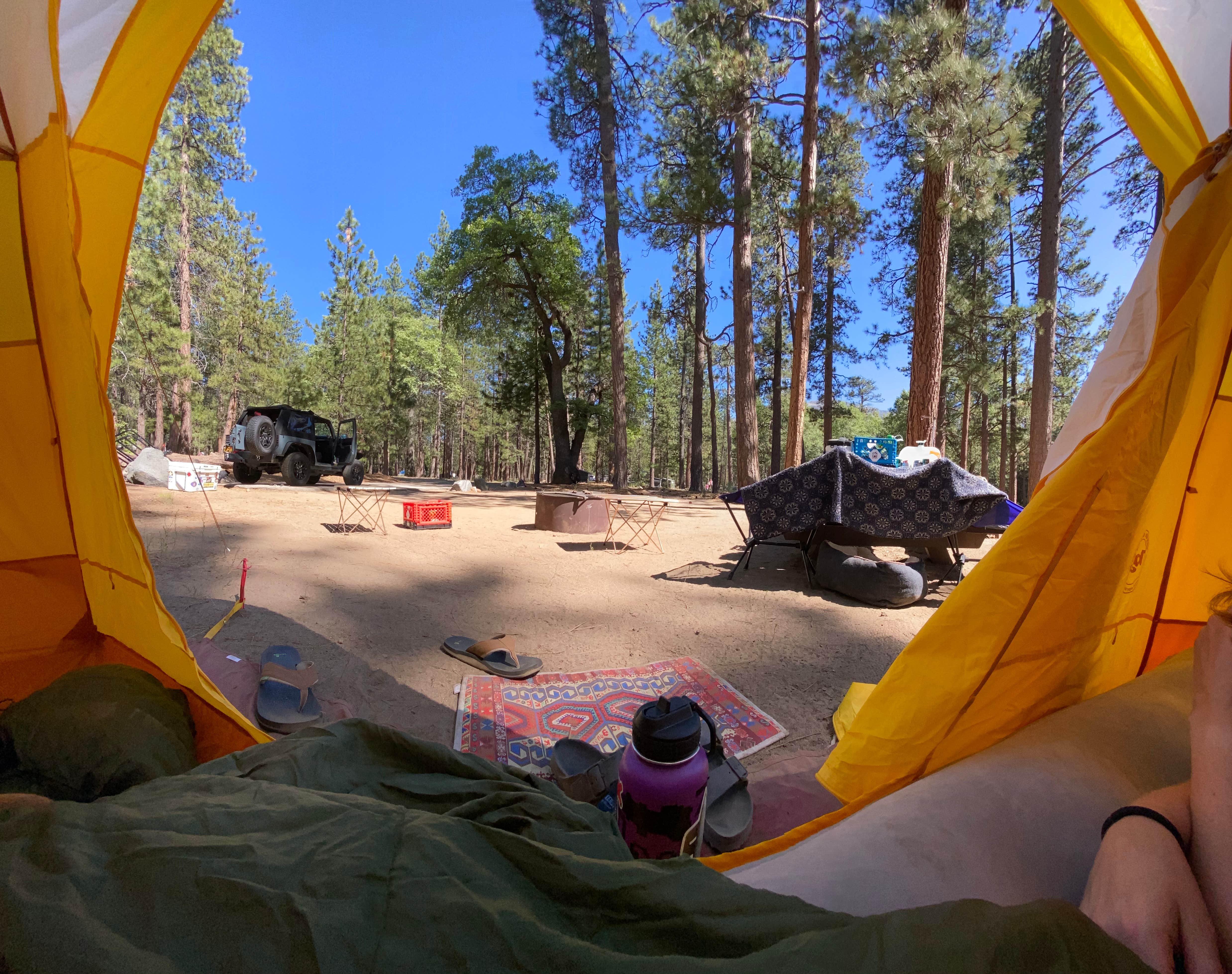 Julien E.'s photo at San Gorgonio Campground near San Bernardino National Forest