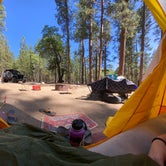 Review photo of San Gorgonio Campground by Julien E., July 2, 2020