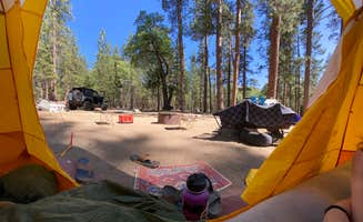 Julien E.'s photo at San Gorgonio Campground near Forest Falls, CA