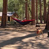 Review photo of San Gorgonio Campground by Julien E., July 2, 2020