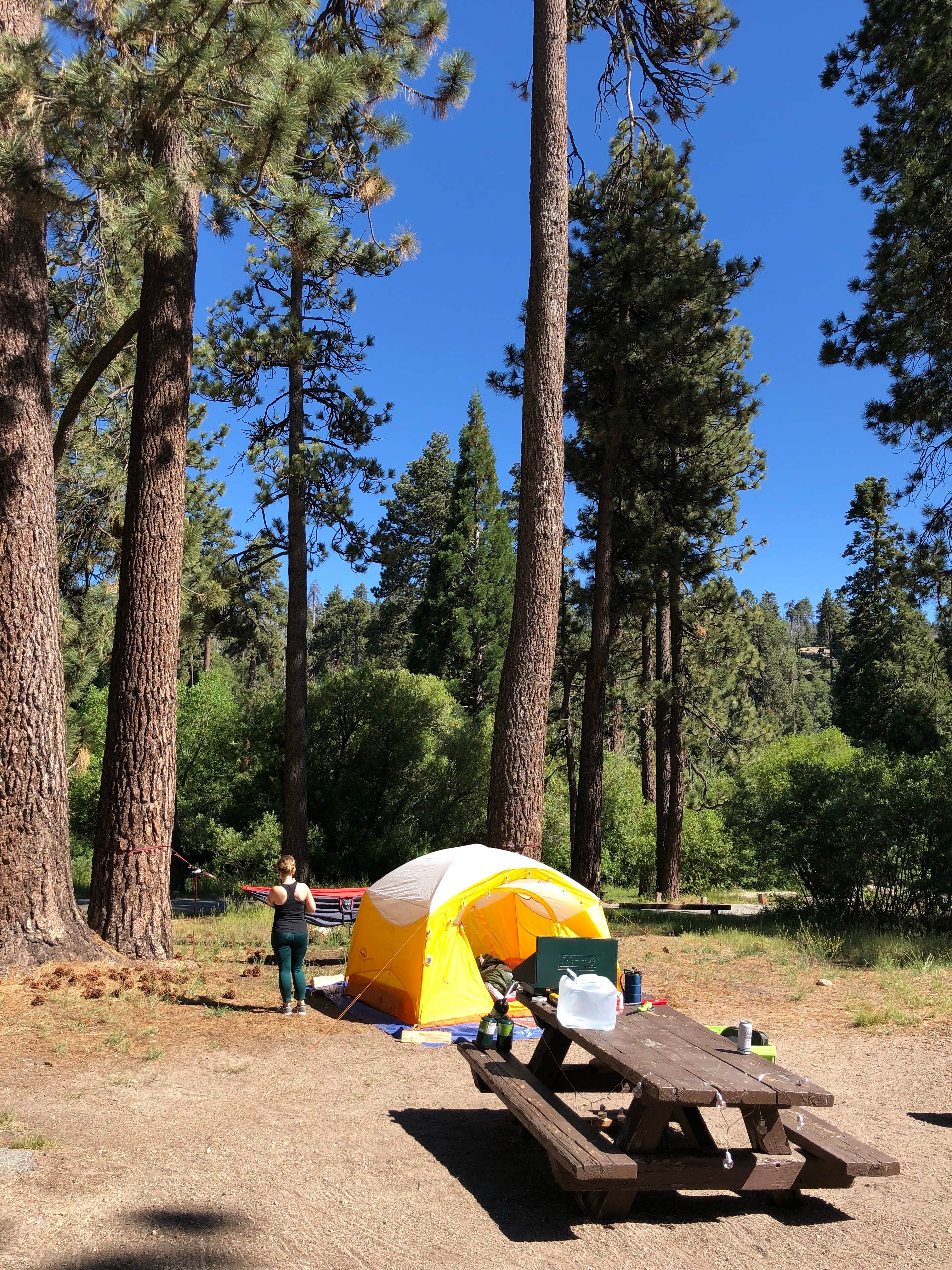 Camper-submitted photo at San Bernardino National Forest Green Valley Campground near Skyforest, CA
