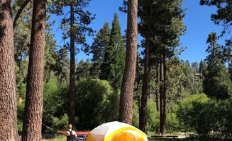 Julien E.'s photo at San Bernardino National Forest Green Valley Campground near Crestline, CA