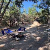 Review photo of Stone Creek Campground — Mount San Jacinto State Park by Julien E., July 2, 2020