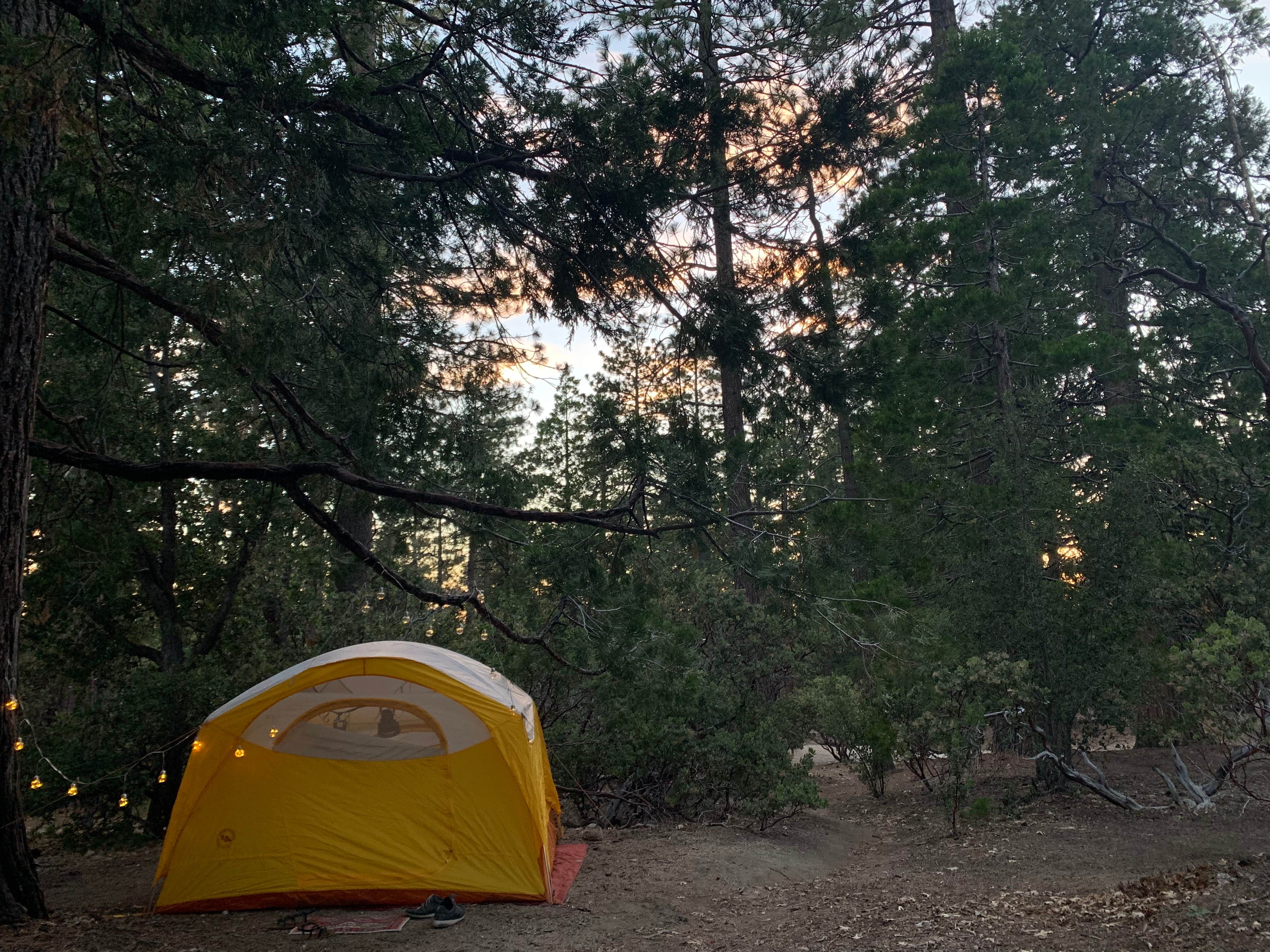 Camper-submitted photo at Stone Creek Campground — Mount San Jacinto State Park near San Jacinto, CA