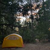 Review photo of Stone Creek Campground — Mount San Jacinto State Park by Julien E., July 2, 2020