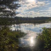 Review photo of Lower Forge Camp by Meg F., July 2, 2020