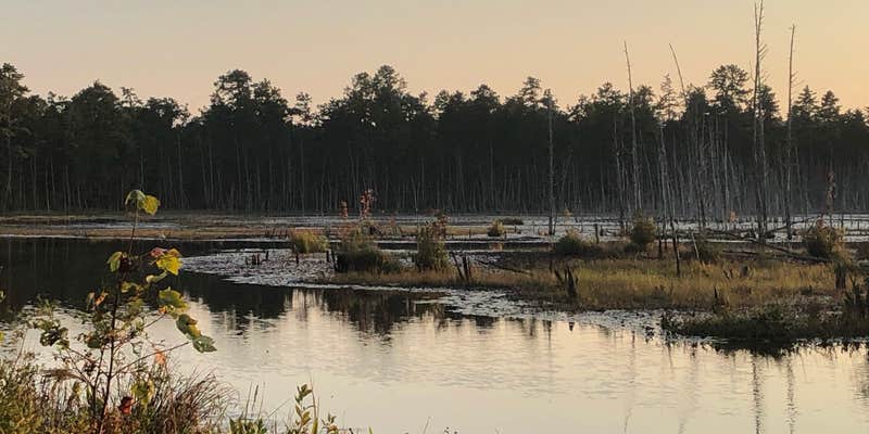 Camper submitted image from Lower Forge Camp