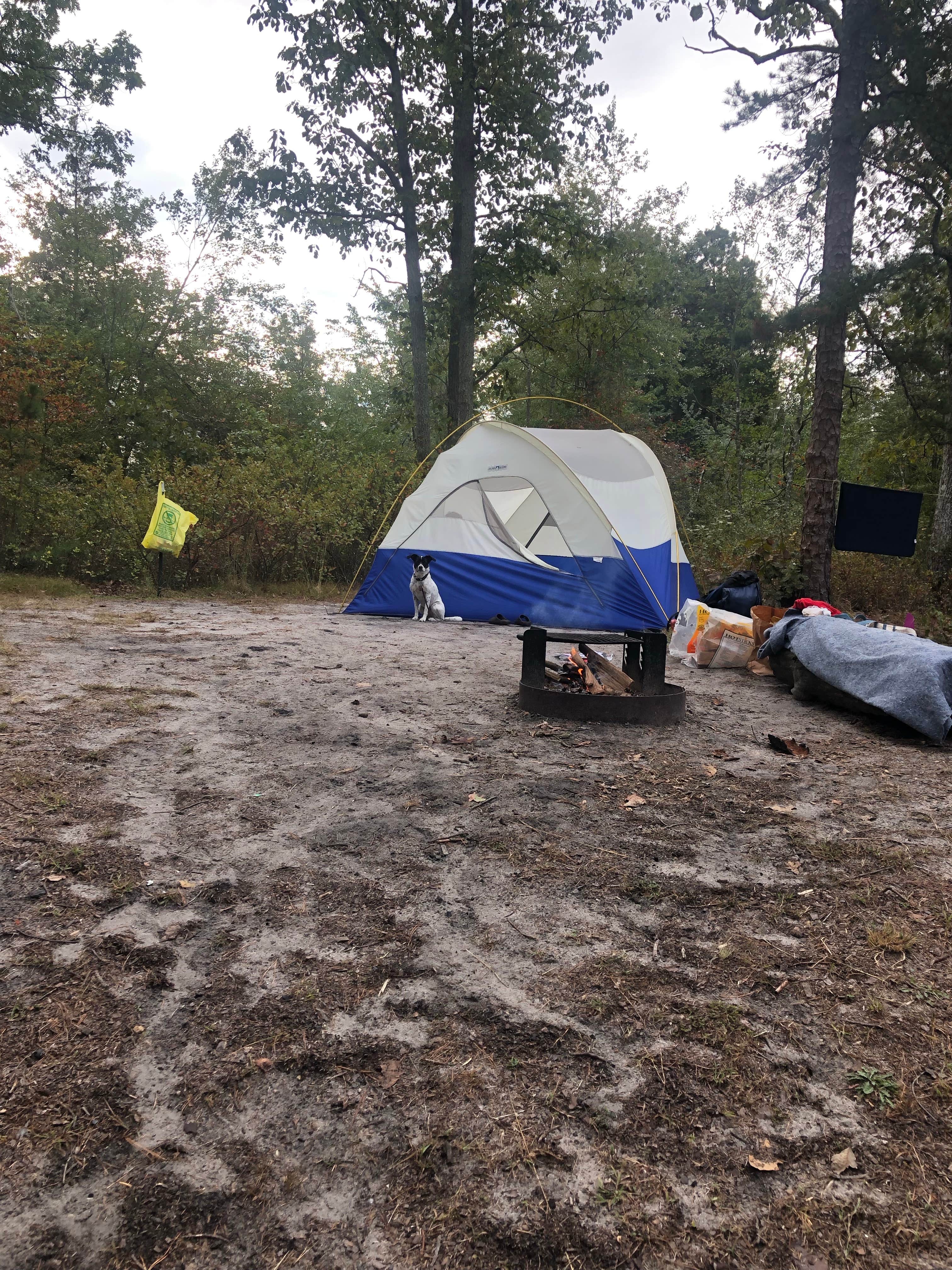 Meg F.'s photo at Batona — Wharton State Forest near New Egypt, NJ