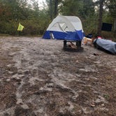 Review photo of Wharton State Forest by Meg F., July 2, 2020