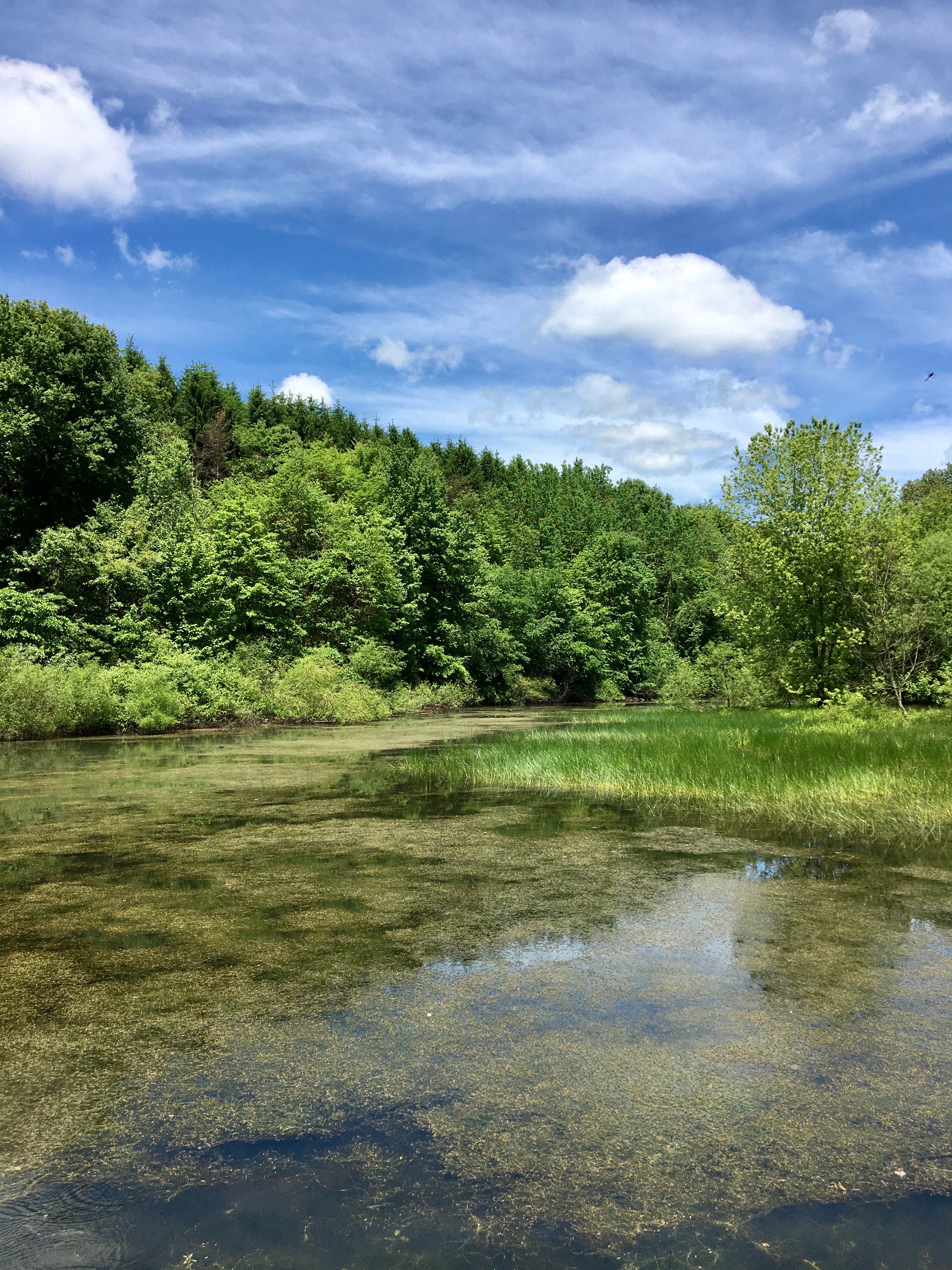 Camper submitted image from Bear Run Campground - 3