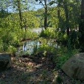 Review photo of Low Water Bridge Campground by RL , June 14, 2020