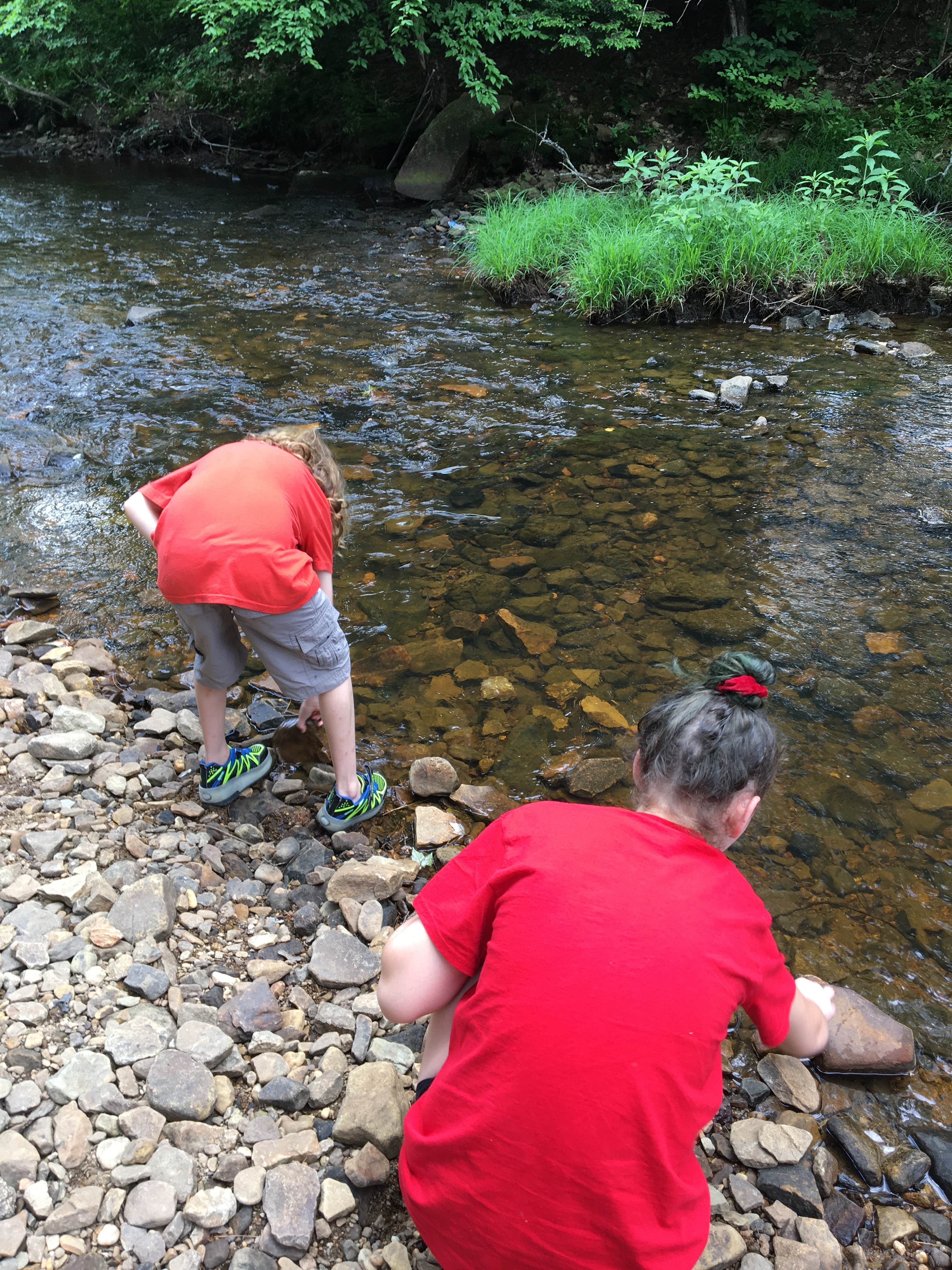 Camper submitted image from Loleta Recreation - 2