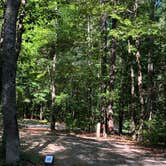 Review photo of Pocahontas State Park Campground by RL , June 29, 2020