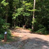 Review photo of Pocahontas State Park Campground by RL , June 29, 2020