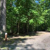 Review photo of Pocahontas State Park Campground by RL , June 29, 2020