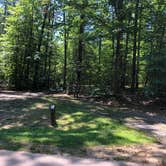 Review photo of Pocahontas State Park Campground by RL , June 29, 2020
