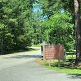 Review photo of Pocahontas State Park Campground by RL , June 29, 2020