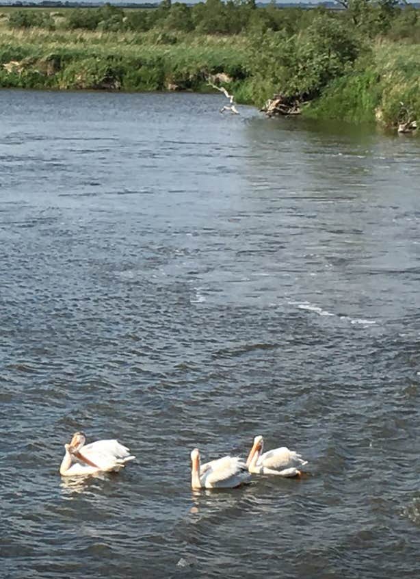 Camper-submitted photo at Lac qui Parle Upper Campground — Lac qui Parle State Park near Granite Falls, MN