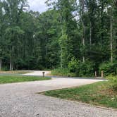 Review photo of Powhatan State Park Campground by RL , July 2, 2020