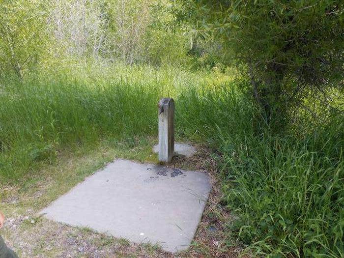 Camper submitted image from Wapiti Campground - 5