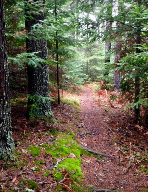 Camper-submitted photo at Nels Lake Backcountry Campsites near Ely, MN