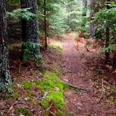 Review photo of Nels Lake Backcountry Campsites by Janet R., November 15, 2017